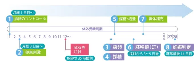 GnRhアゴニスト ショート法は、34歳～40歳の方に多い体外受精における治療で、GnRhアゴニスト ショート法での体外受精のスケジュールの画像