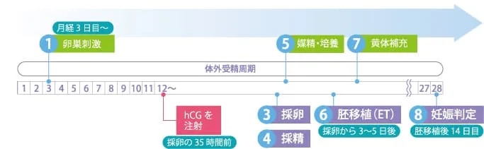 クロミッド法は41歳以上の方に多い体外受精における治療で、クロミッド法の体外受精のスケジュールの画像