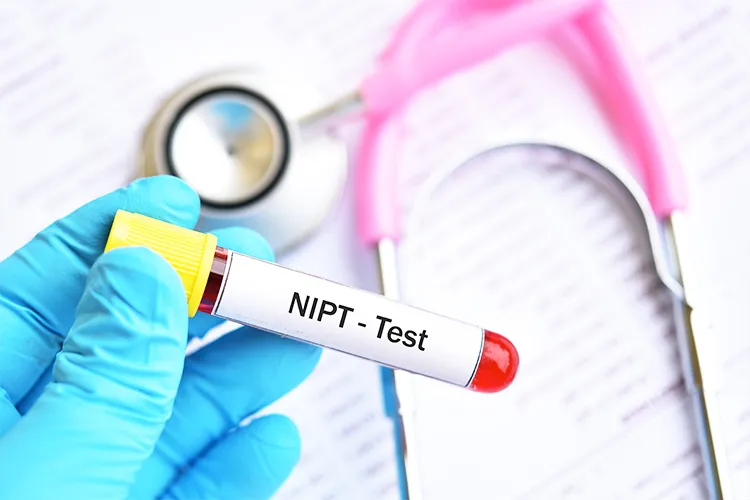 NIPTの画像