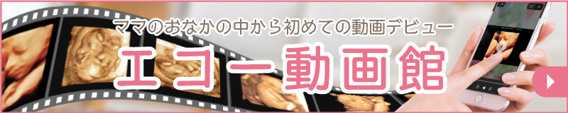 エコー動画館のバナー画像