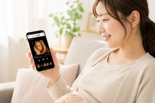 スマートフォンでエコー画像を見ている写真